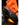 Pentagon Gravity Tactical 6" WP, Fitgo, Støvler Pentagon Tactical