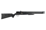 Diana XR210 Premium PCP 4,5 mm
