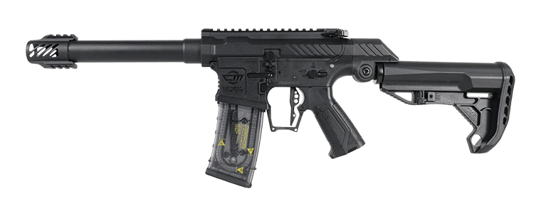 G&G Armament SSG-1, Sort