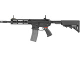 G&G CM16 Raider 2.0, Sort