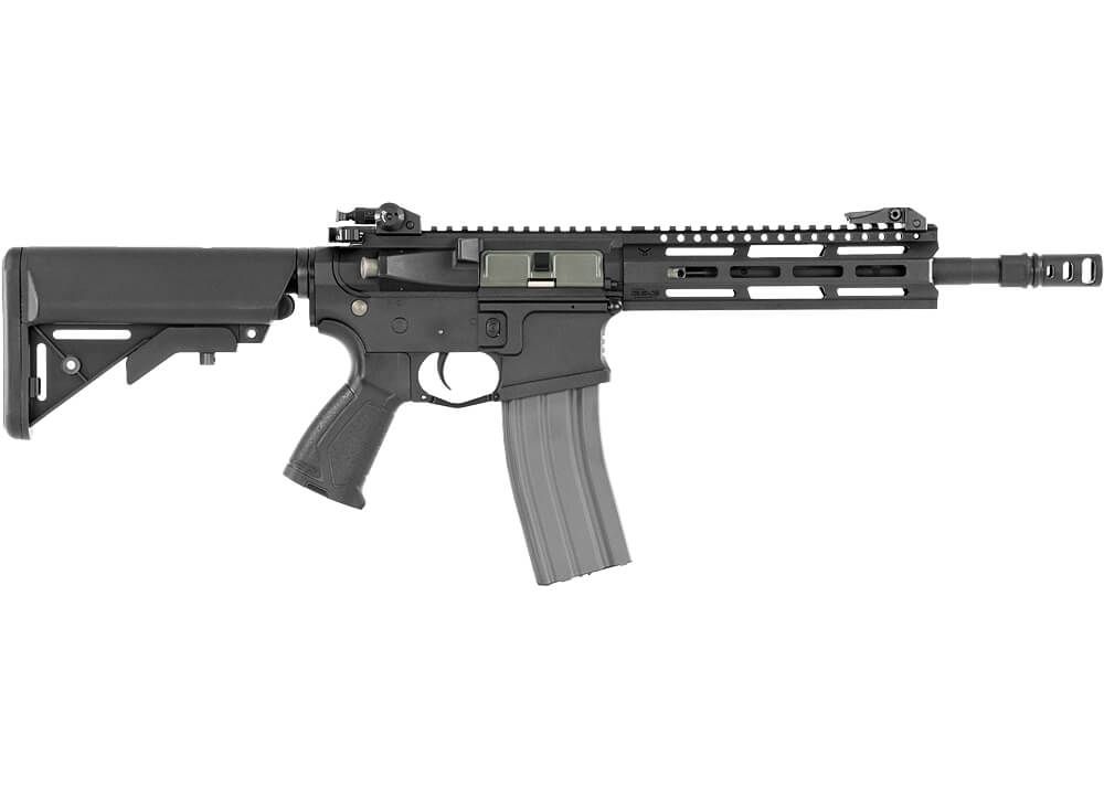 G&G CM16 Raider 2.0, Sort